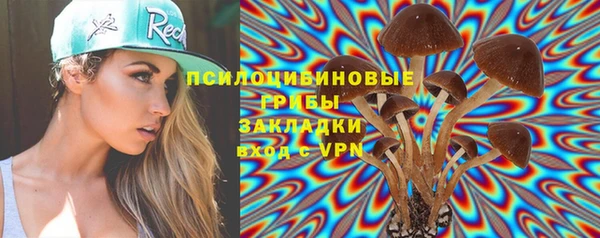 гашик Медвежьегорск