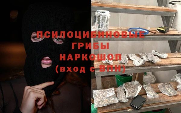 гашик Медвежьегорск