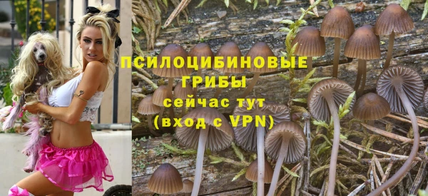 гашик Медвежьегорск
