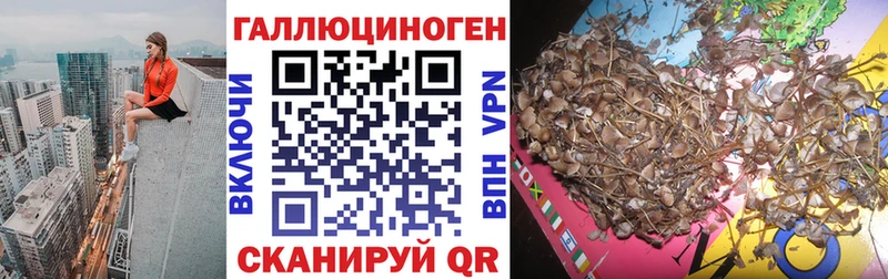 Псилоцибиновые грибы мухоморы  Купить  Приозерск 